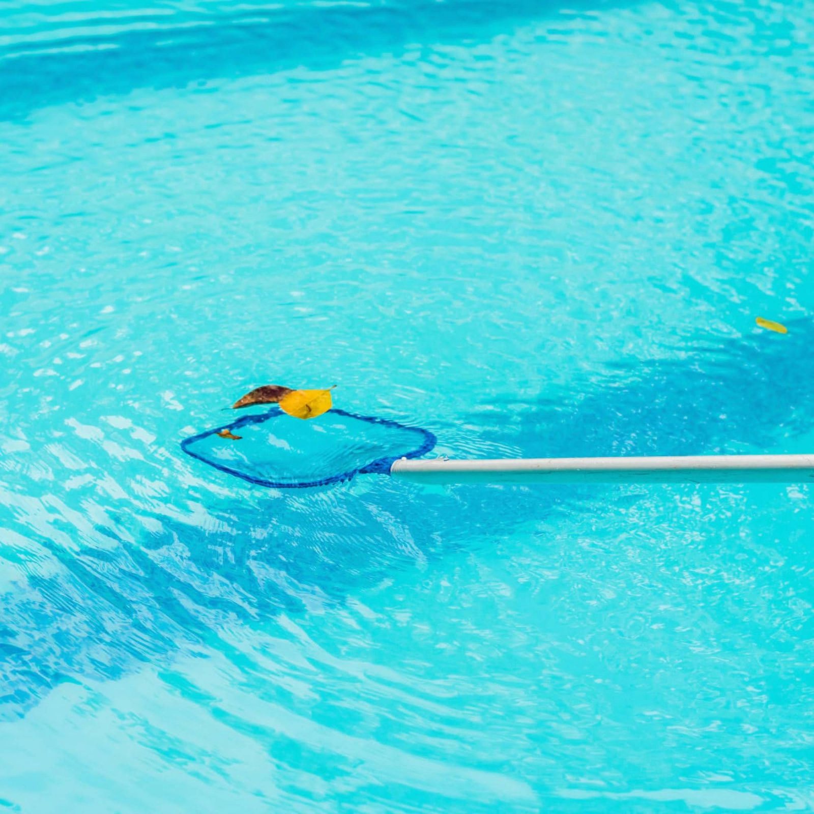شبكة قابلة للفصل لتنظيف حمام ا - مراجعة Pool Skimmer Net وسعره